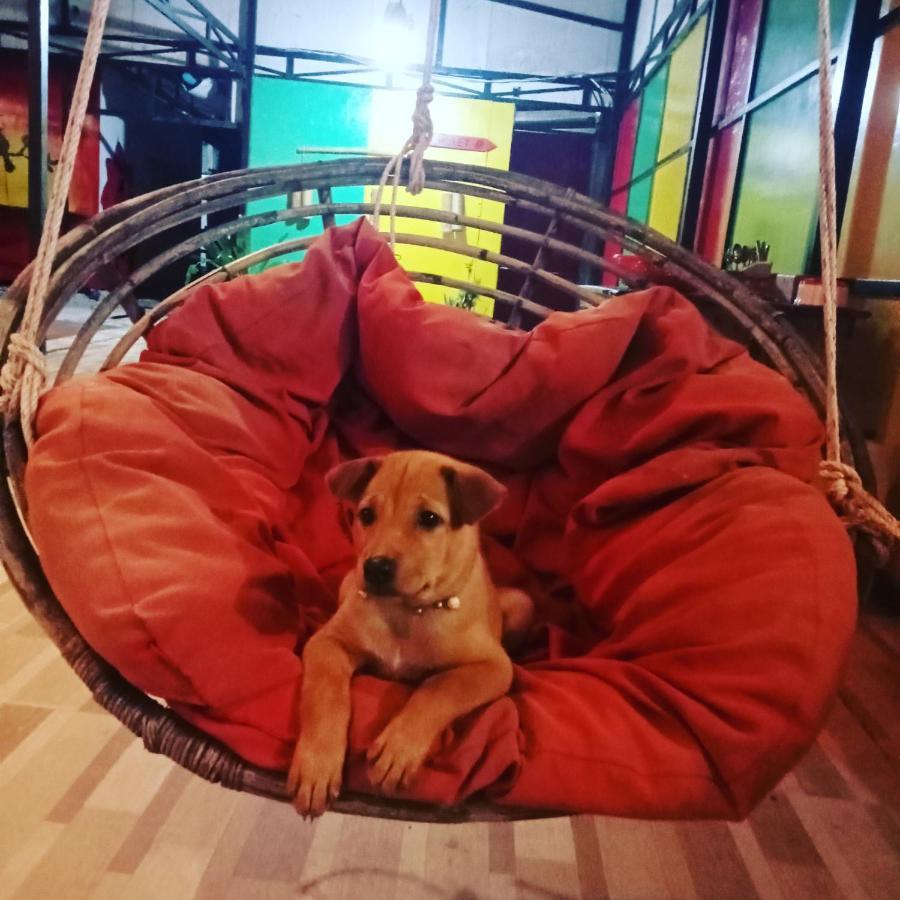 Lucky Sun Saracen Bay Hostel Koh Rong Sanloem Εξωτερικό φωτογραφία
